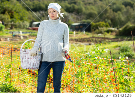 Portrait of cheerful young woman with gardening tools standing outdoors 85142129