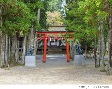 高野山の山王院 高野山の山王院 85142960
