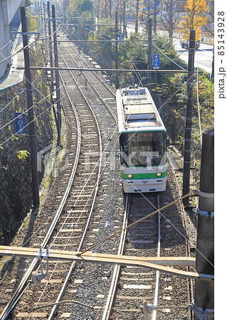 千登世橋(ちとせばし)付近から見た都電荒川線 豊島区目白 千登世橋(ちとせばし)付近から見た都電荒川線 豊島区目白 85143928