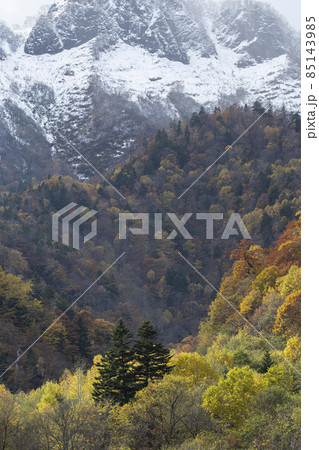 キロロの紅葉 キロロの紅葉 85143985