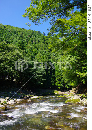 清流　久多川　京都府　左京区　日本の山中の小川 85144689