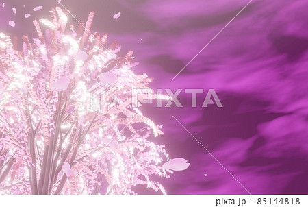 幻想的な夜の桜の木のイメージ 85144818
