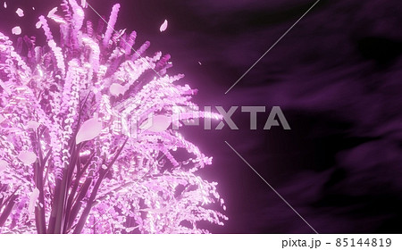 夜桜のイメージ素材 85144819