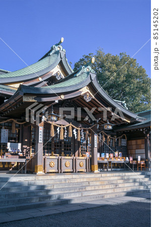 晴天の空と検見川神社 85145202