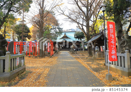 鬼子母神堂 豊島区南池袋 鬼子母神堂 豊島区南池袋 85145374