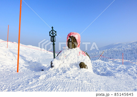 樹氷 蔵王山頂 地蔵山頂 樹氷 蔵王山頂 地蔵山頂 85145645
