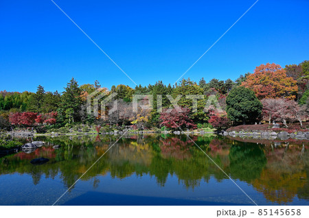 紅葉のリフレクション 85145658