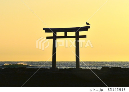 早朝の海とカモメの留まっている鳥居 早朝の海とカモメの留まっている鳥居 85145913