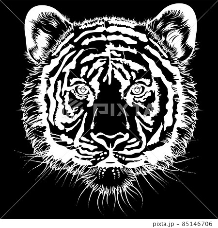 正面を向いた虎の顔 白黒イラスト のイラスト素材