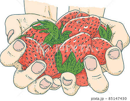 たくさんのいちごを持つ両手カットイラスト たくさんのいちごを持つ両手カットイラスト 85147430