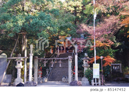 紅葉の枚岡神社の風景 紅葉の枚岡神社の風景 85147452