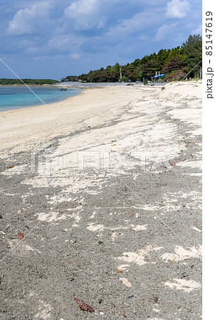 沖縄の軽石問題 85147619