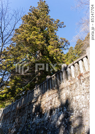 【長野県】 戸隠神社 【長野県】 戸隠神社 85147704