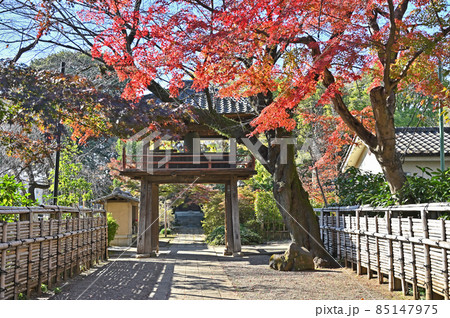 川越散歩:中院 天台宗 鐘楼門 川越散歩:中院 天台宗 鐘楼門 85147975