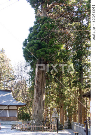 【長野県】 戸隠神社 【長野県】 戸隠神社 85148341