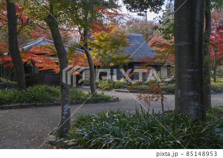 睡足軒の森と古民家　平林寺　埼玉県新座市 85148953