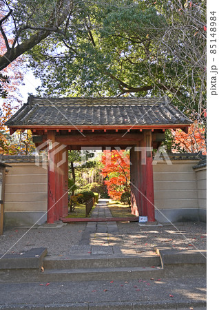 川越散歩:中院 天台宗 通用門 紅葉 川越散歩:中院 天台宗 通用門 紅葉 85148984