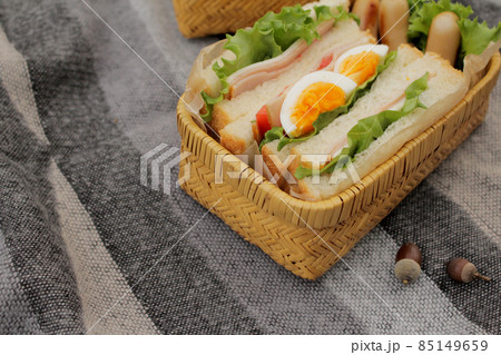 秋の公園でサンドイッチ弁当 85149659