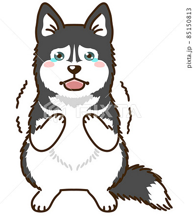犬のハスキー,大きい犬,アバターイメージ_グラフィックス id