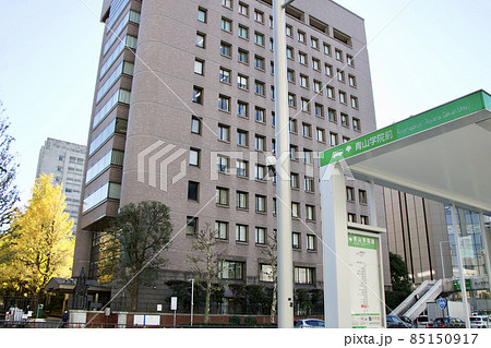 青山学院大学 85150917