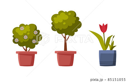 Garden Blooming Flower and Growing Tree in Pot Vector Set 85151055
