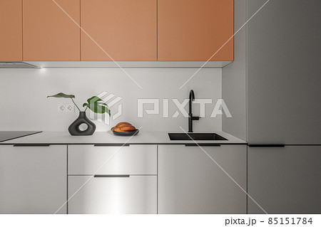 Modern stylish Scandinavian kitchen interior in grey and terracotta shades with black sink, black vase. Modern stylish Scandinavian kitchen interior in grey and terracotta shades with black sink, black vase. 85151784