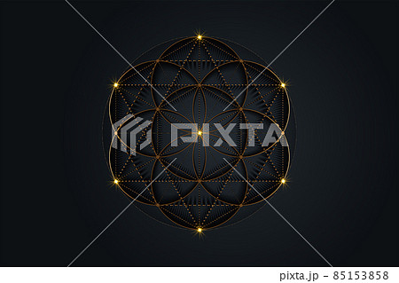 Flower of Life, Seed of life symbol Sacred Geometry, mystic mandala of alchemy esoteric sign. Golden luxury logo Vector isolated on black background Flower of Life, Seed of life symbol Sacred Geometry, mystic mandala of alchemy esoteric sign. Golden luxury logo Vector isolated on black background 85153858