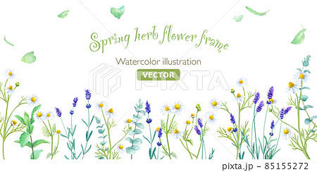 春のハーバルフラワー（カモミール、ミント、ラベンダー）のフレーム装飾。水彩イラスト（ベクター） 85155272