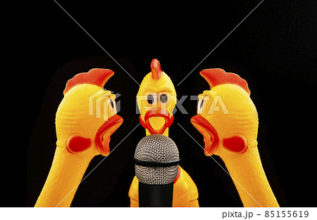 image of microphone rubber chicken dark background image of microphone rubber chicken dark background 85155619