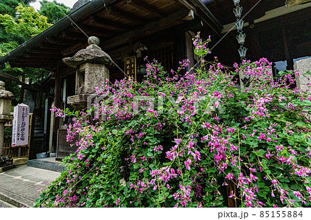 東光院 東光院 85155884