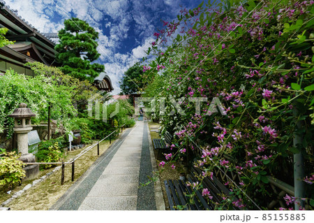 東光院 東光院 85155885