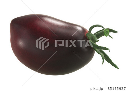 Pascal de Picardie heirloom tomato isolated Pascal de Picardie heirloom tomato isolated 85155927
