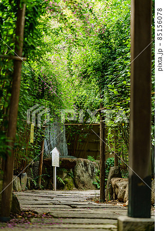 東光院 東光院 85156078