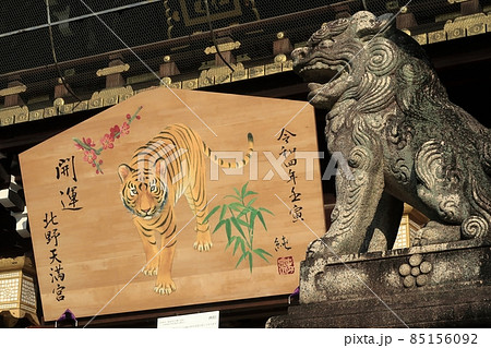 京都 北野天満宮 天神 干支 寅 2022 令和4年 正月 初詣 京都 北野天満宮 天神 干支 寅 2022 令和4年 正月 初詣 85156092