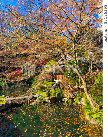 東京九段・靖国神社境内の神池庭園 東京九段・靖国神社境内の神池庭園 85156398