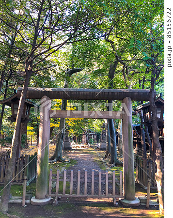 東京九段・靖国神社境内の神道無念流練兵館跡 東京九段・靖国神社境内の神道無念流練兵館跡 85156722