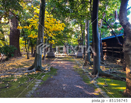 東京九段・靖国神社境内の神道無念流練兵館跡 東京九段・靖国神社境内の神道無念流練兵館跡 85156745