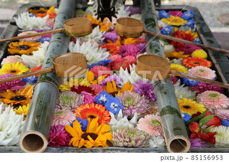 京都・楊谷寺の花手水 85156953