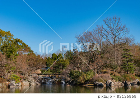 池と木々 85156969