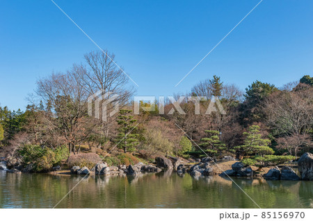池と木々 85156970
