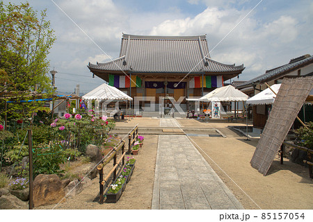 ぼたん寺清眼寺の晩春の風景 岡山県津山市 ぼたん寺清眼寺の晩春の風景 岡山県津山市 85157054