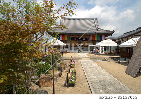 ぼたん寺清眼寺の晩春の境内 岡山県津山市 ぼたん寺清眼寺の晩春の境内 岡山県津山市 85157055