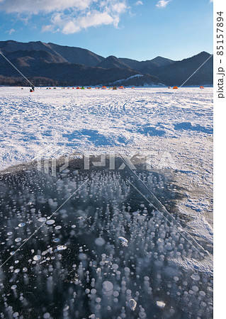 糠平湖のアイスバブル 糠平湖のアイスバブル 85157894