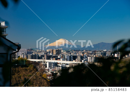 山手イタリア山庭園から臨む富士山 85158483