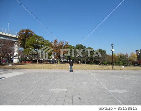 隅田公園の広場 85158815
