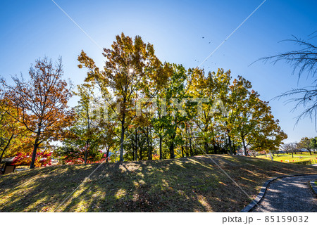 《愛知県》春日井市　落合公園 85159032