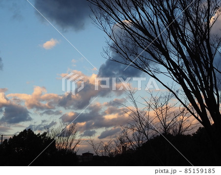 冬の夕景 85159185