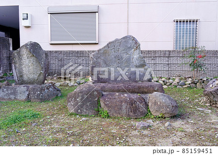 伝染殿井（大阪府池田市） 85159451