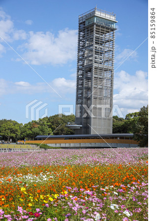 浜名湖ガーデンパーク 浜名湖ガーデンパーク 85159864