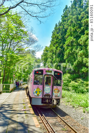 福島県南会津にある会津鉄道の塔のへつり駅の夏風景 85160091